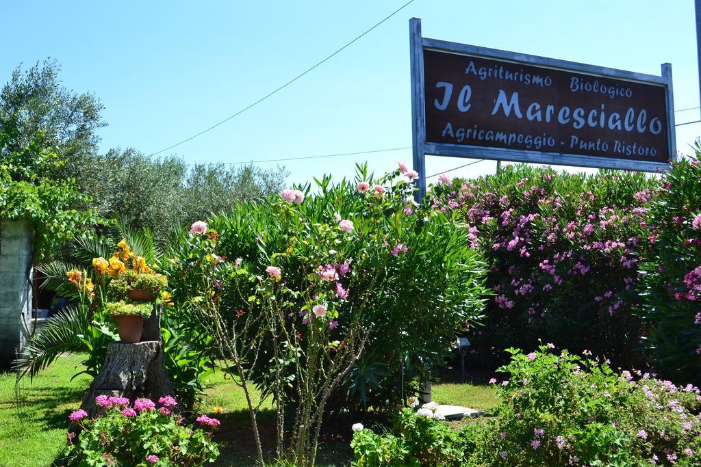 Вилла Agriturismo Il Maresciallo Кариати Экстерьер фото