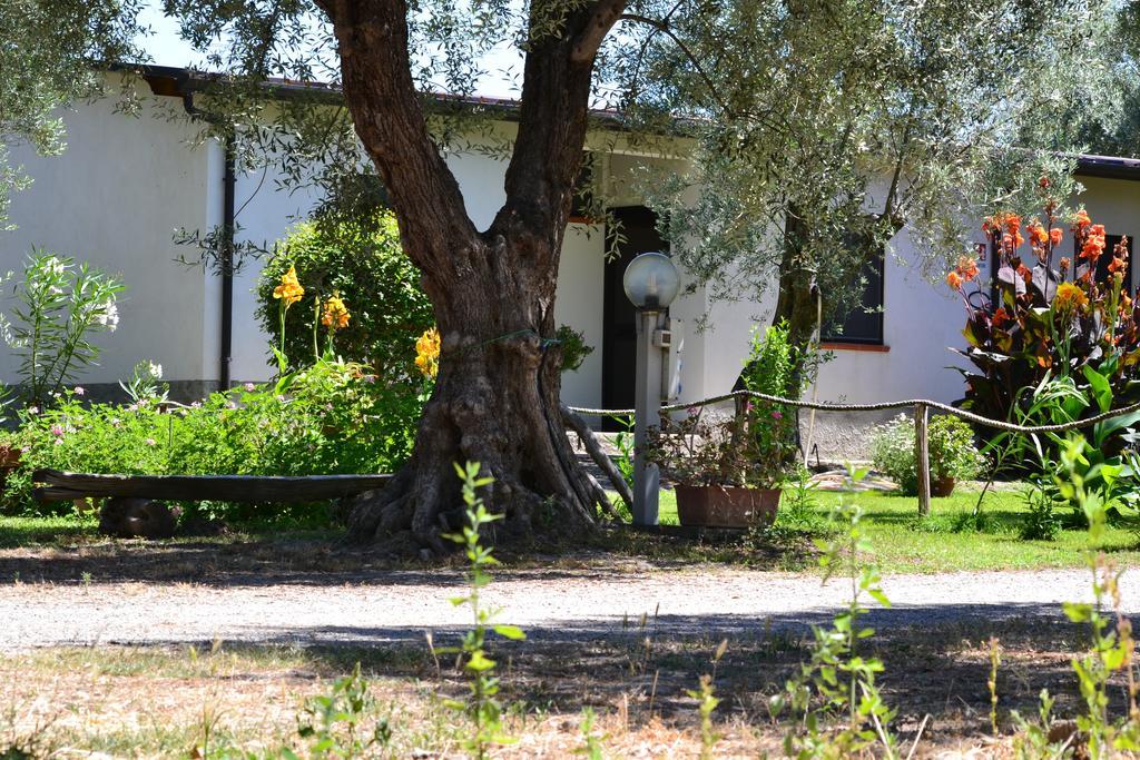 Вилла Agriturismo Il Maresciallo Кариати Номер фото
